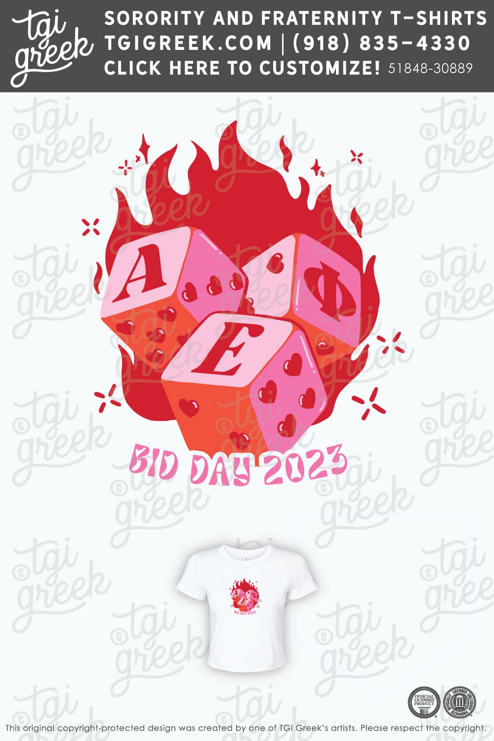 Alpha Epsilon Pi – JU Bid Day