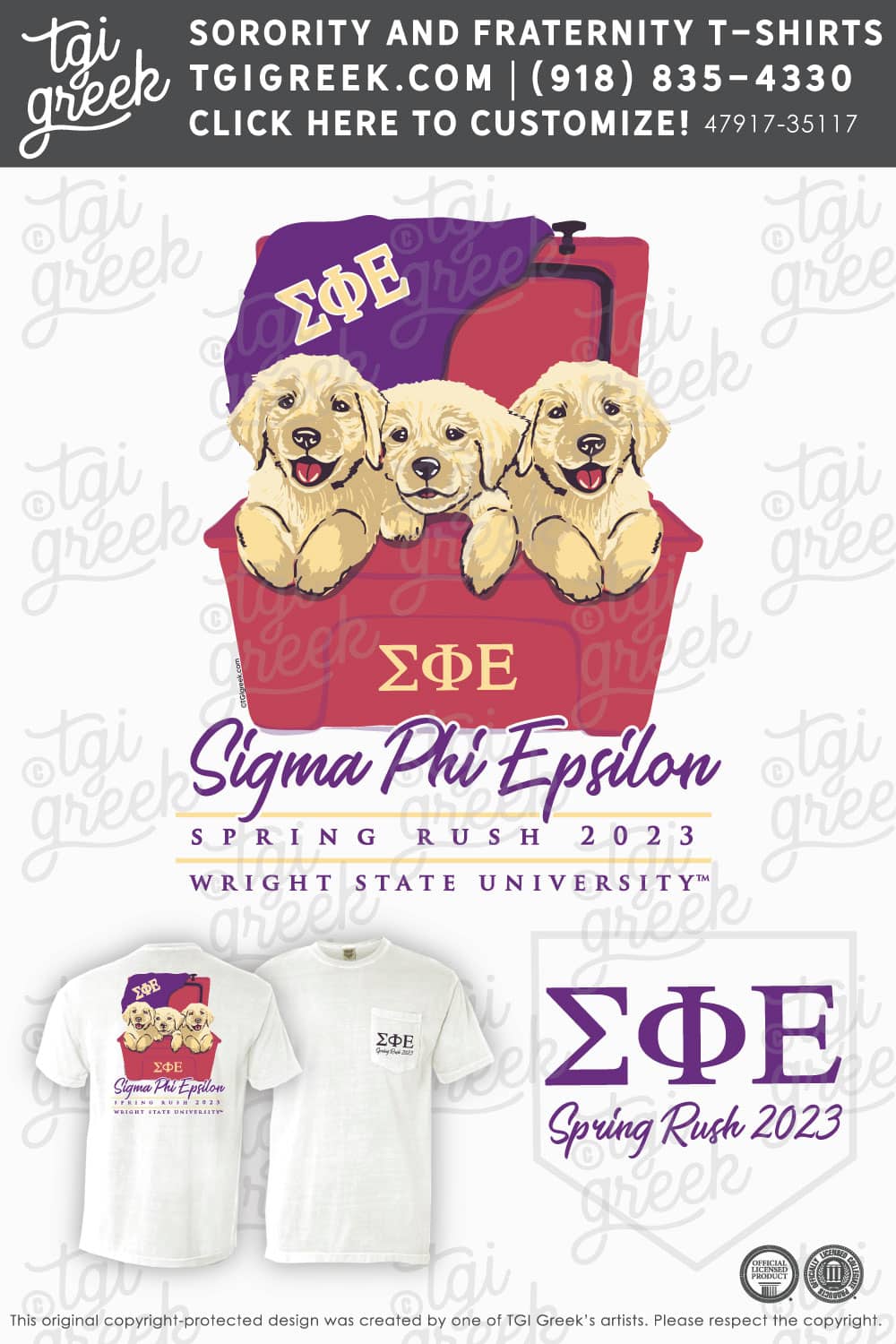Sigma Phi Epsilon – WRSU Spring Rush