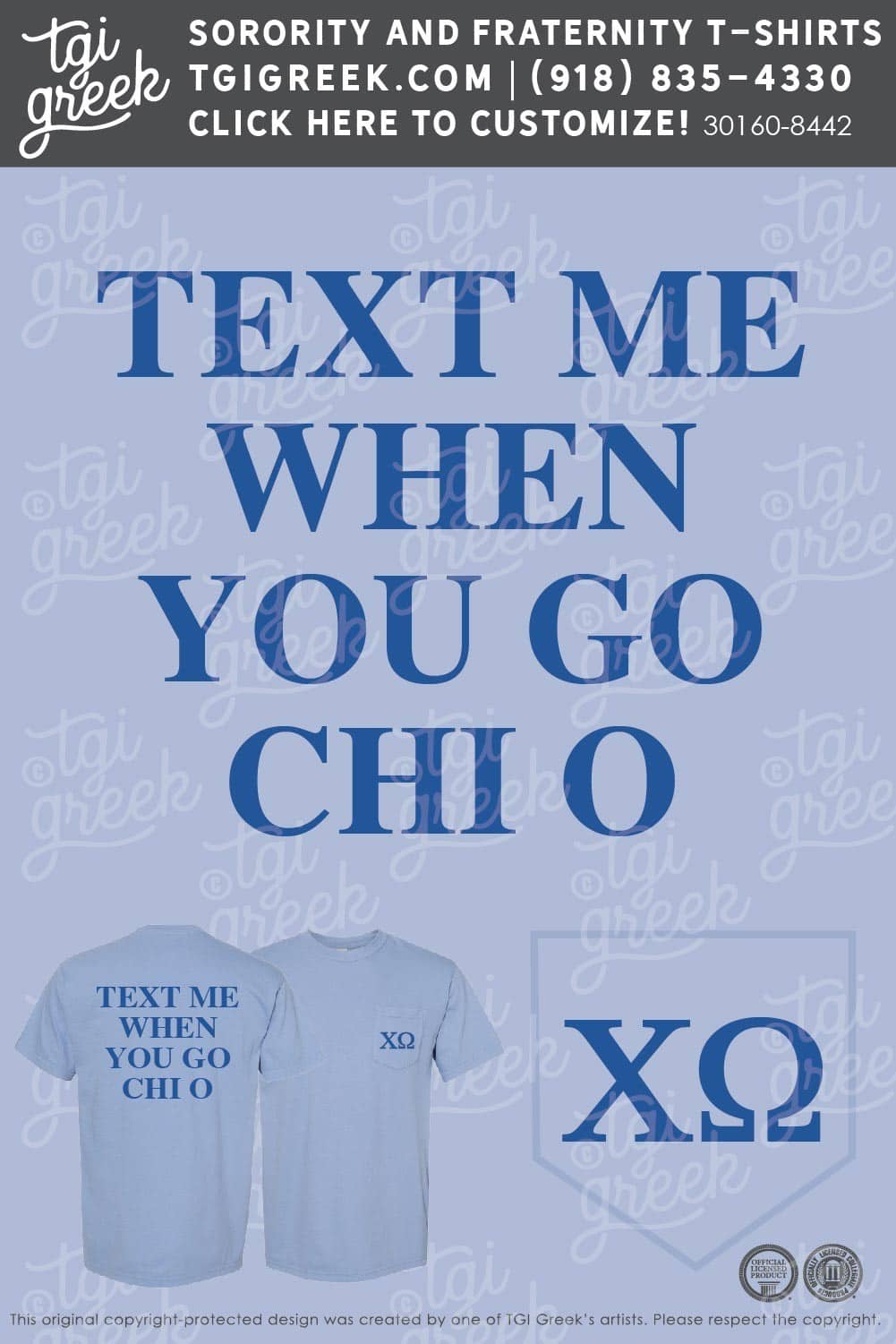 Chi Omega – SDKSU Fall Bid Day