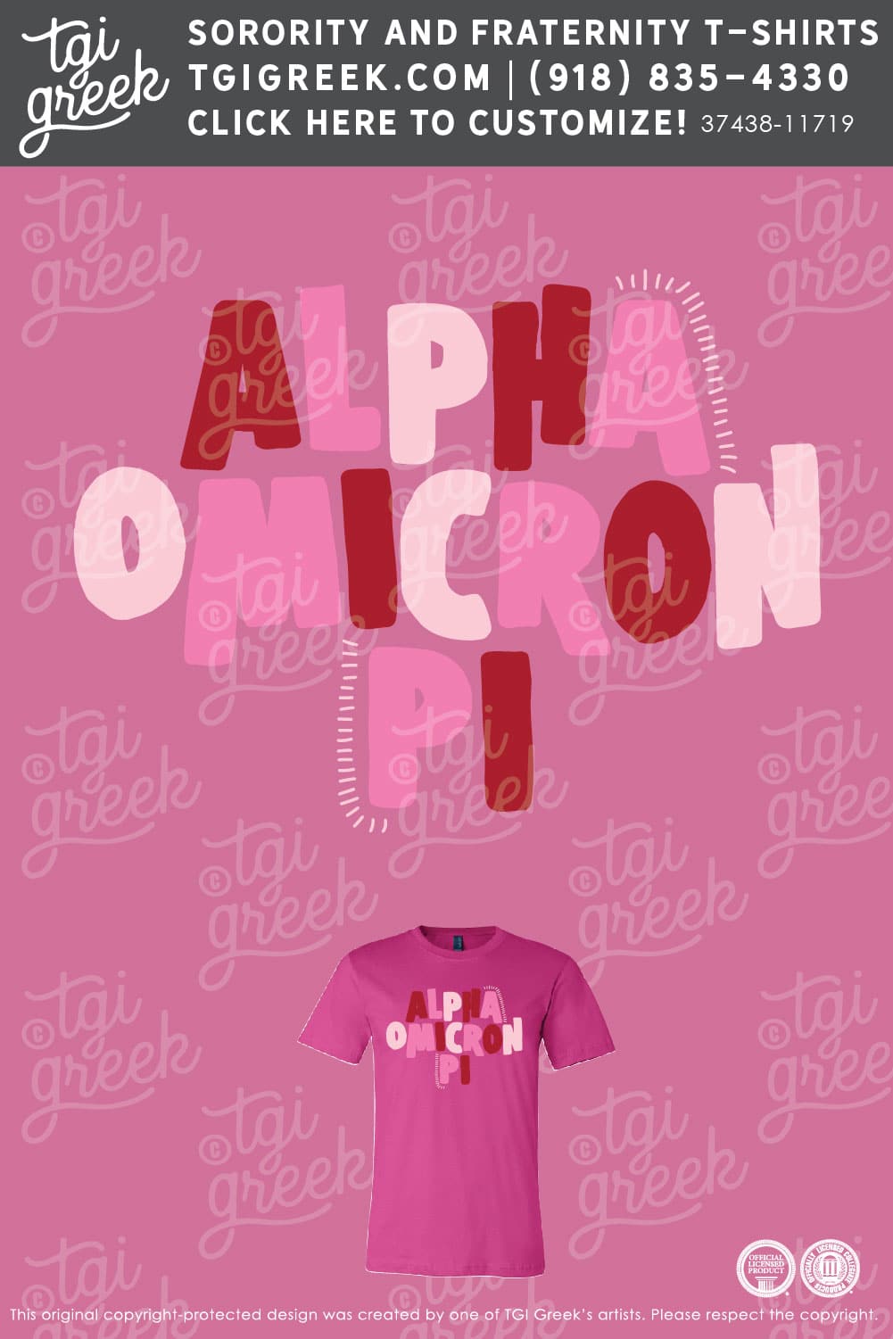 Alpha Omicron Pi – NSU Recruitment