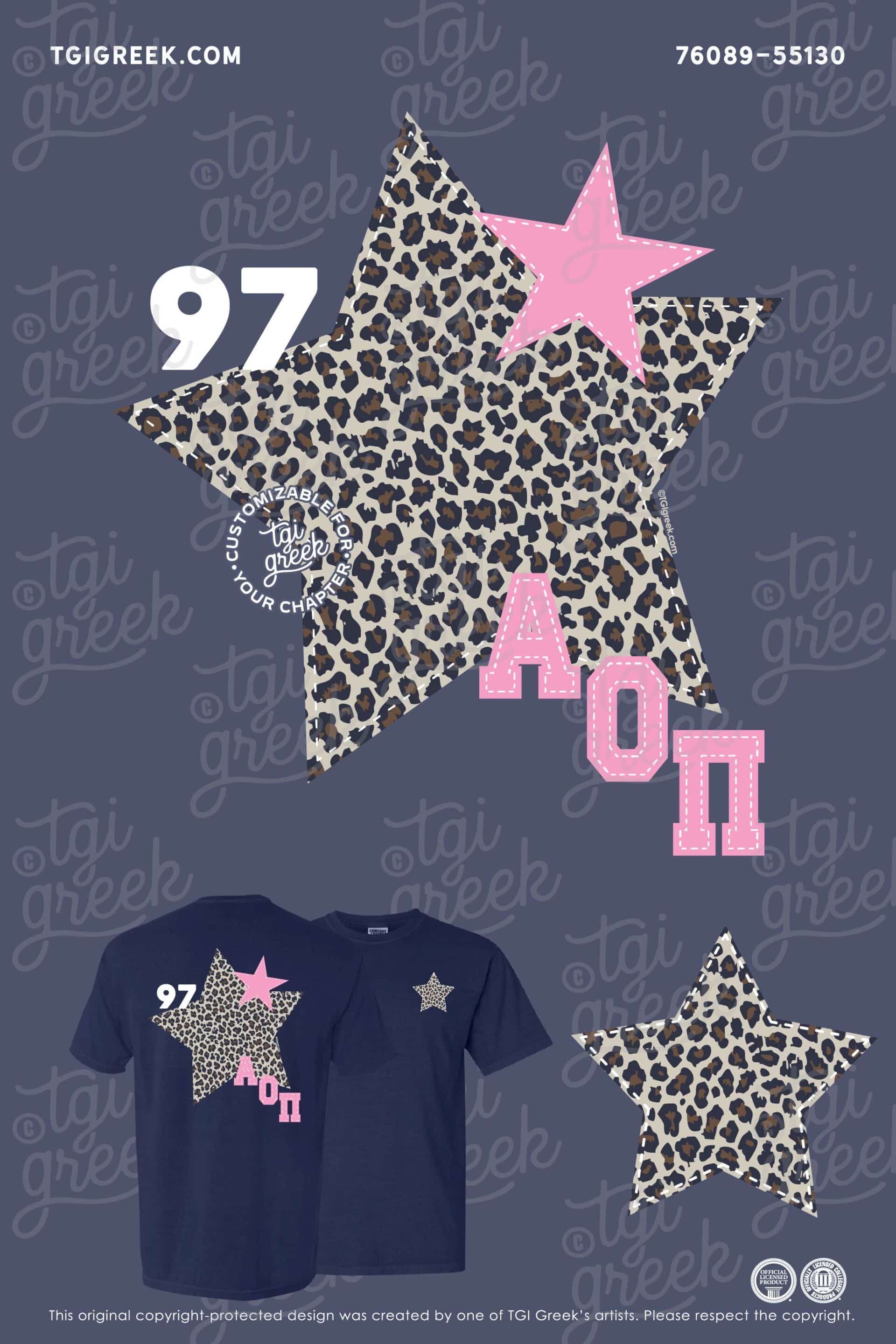 Alpha Omicron Pi – NSU PR