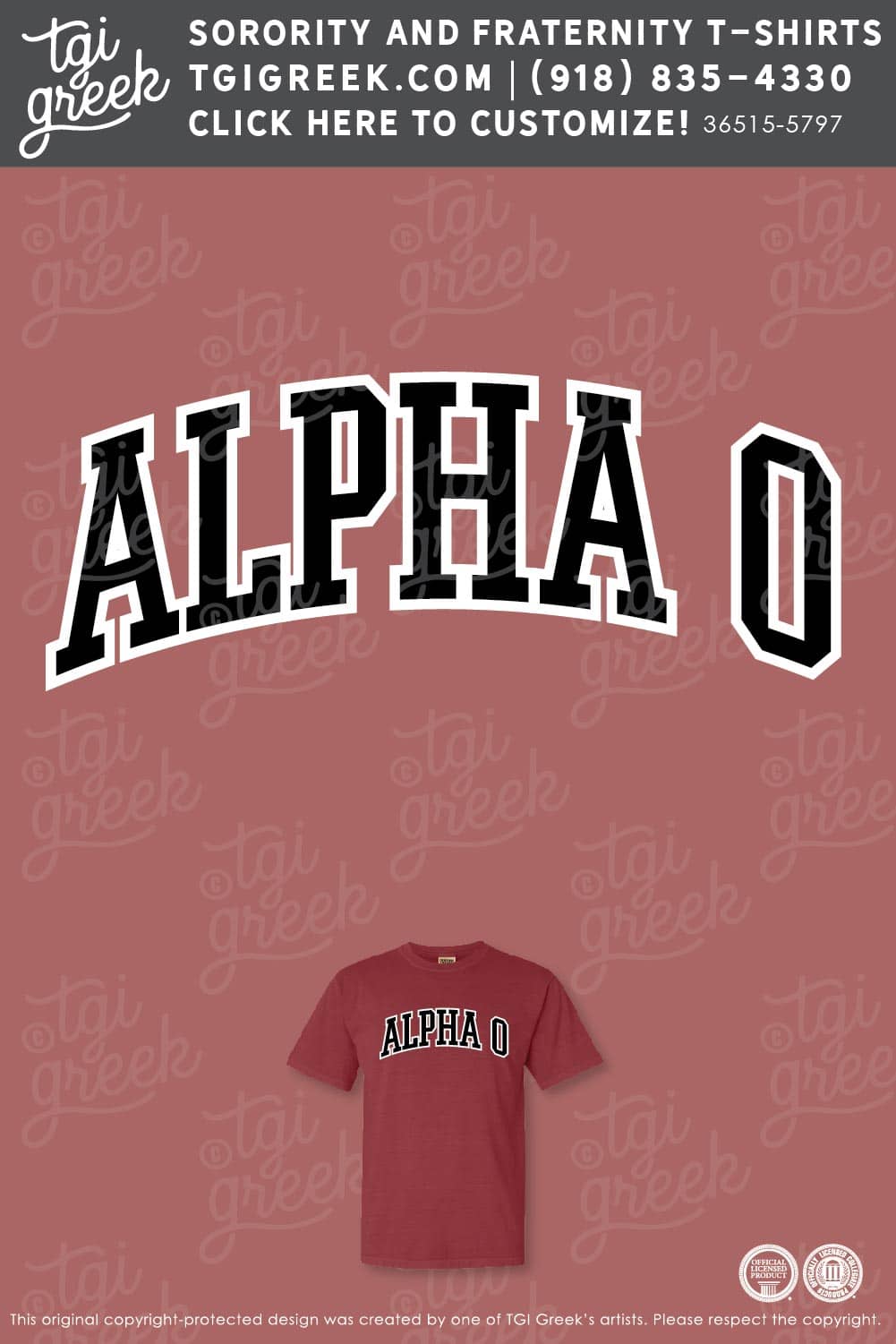 Alpha Omicron Pi WKU Intramural Jersey